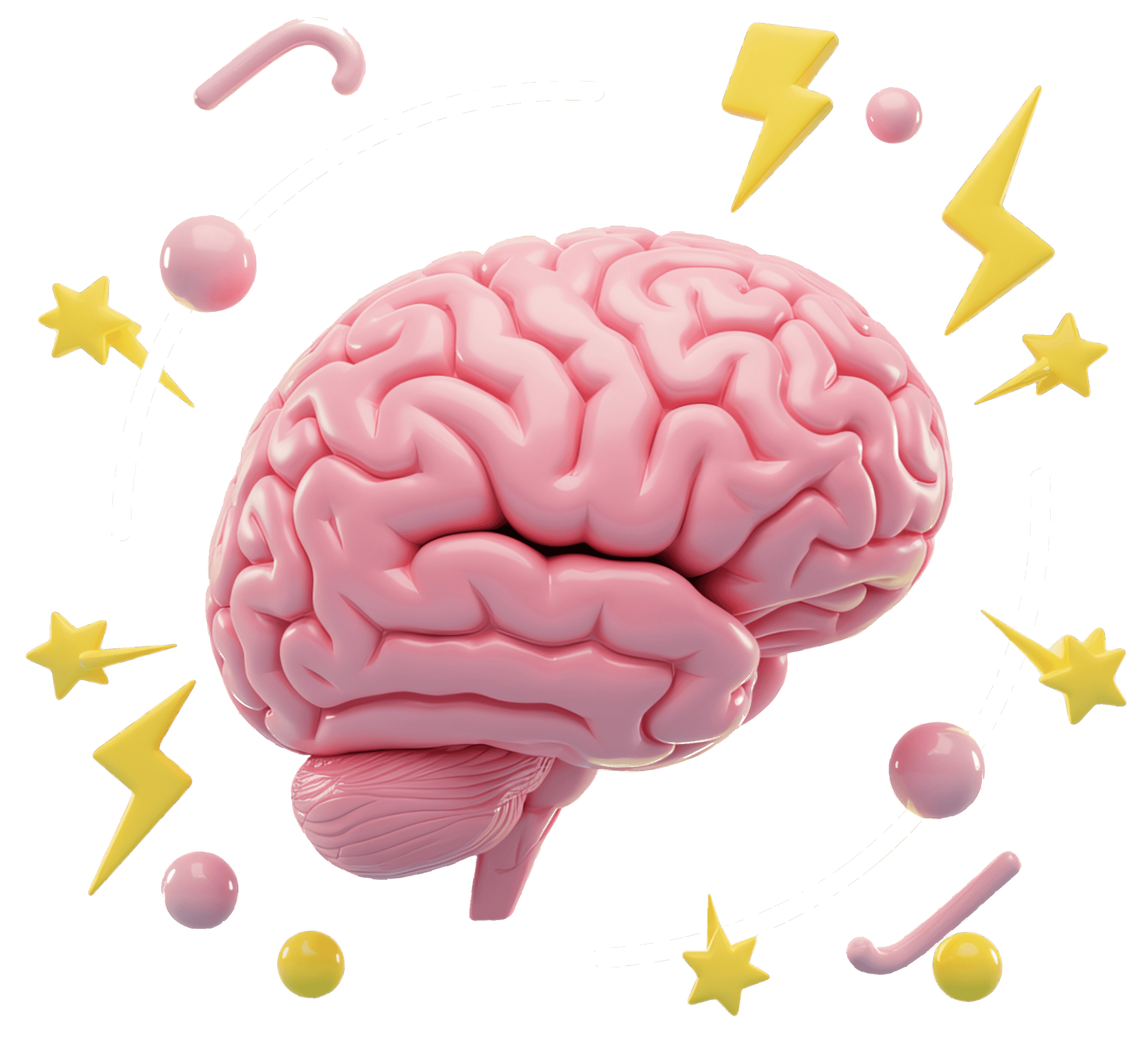 Brain